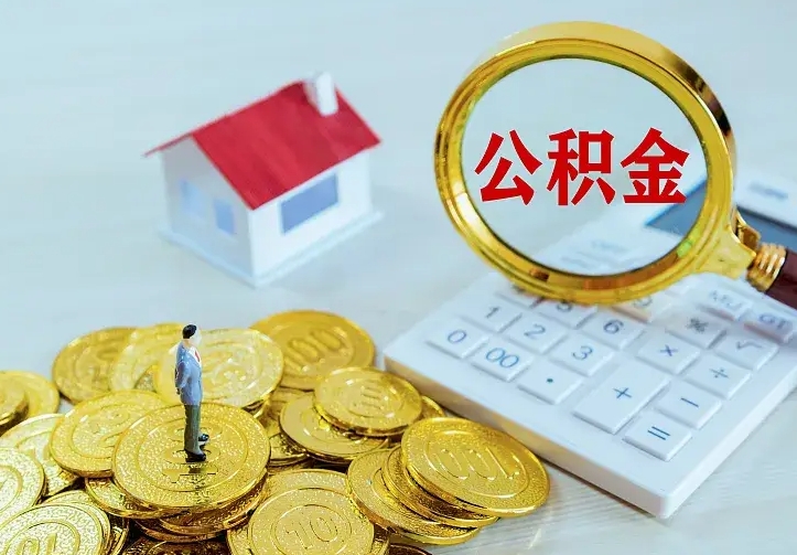 茌平公积金封存十年怎么提（公积金封存十年提取）